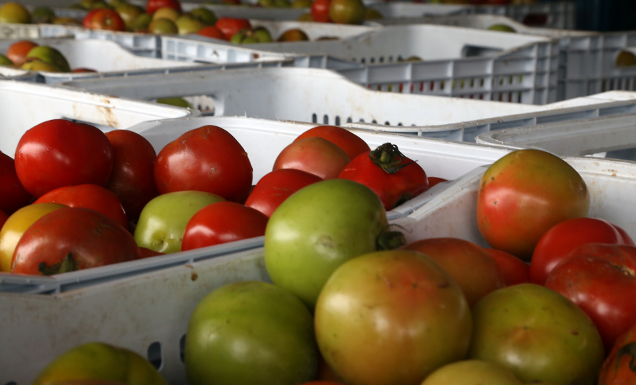Bancos de Alimentos da Ceasa já distribuiu 970 toneladas neste ano. Foto: Gilson Abreu/AEN