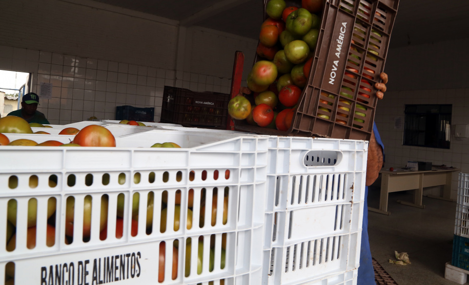 Bancos de Alimentos da Ceasa já distribuiu 970 toneladas neste ano. Foto: Gilson Abreu/AEN