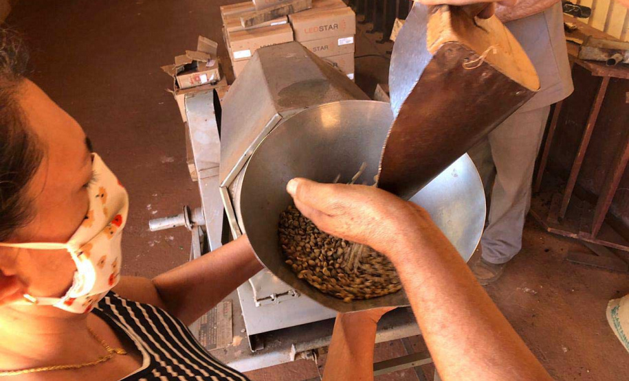 Mulheres do Oeste do Paraná se unem para produzir café especial. Foto:SEAB