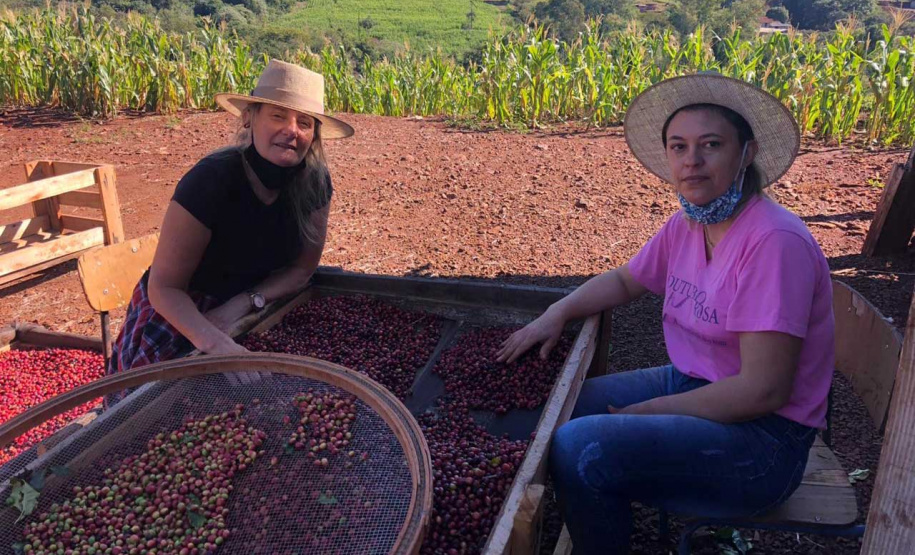 Mulheres do Oeste do Paraná se unem para produzir café especial. Foto:SEAB