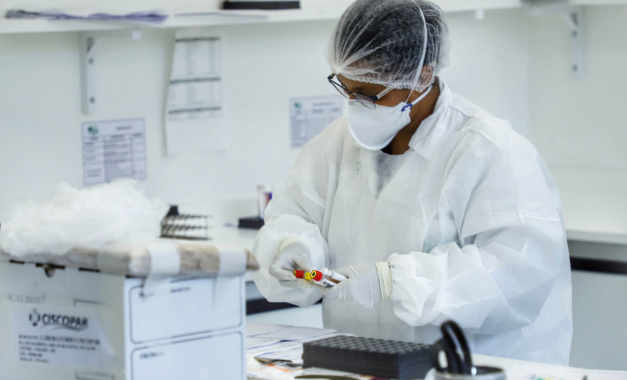 Foto:Jose Fernando Ogura/AEN