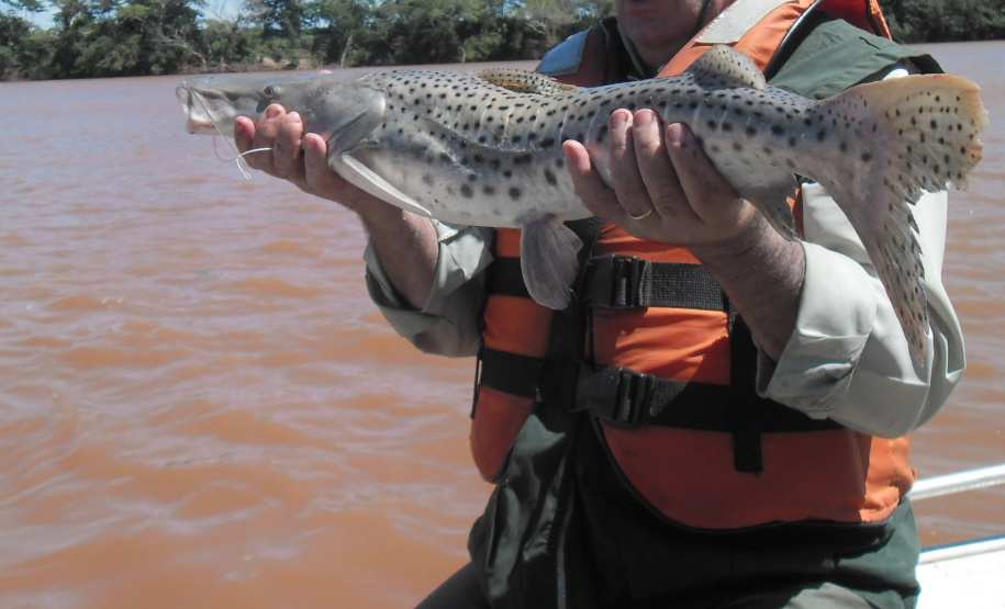 Pesca está liberada nas represas e lagos do Estado. Foto:SEDEST