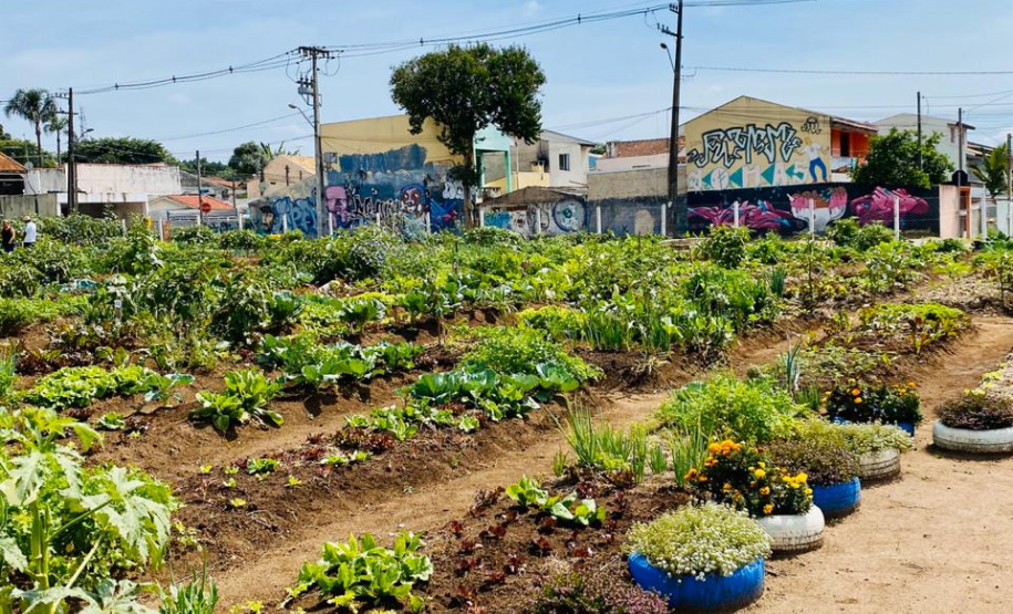 Copel apoia agricultura familiar durante a pandemia
. Foto: Copel