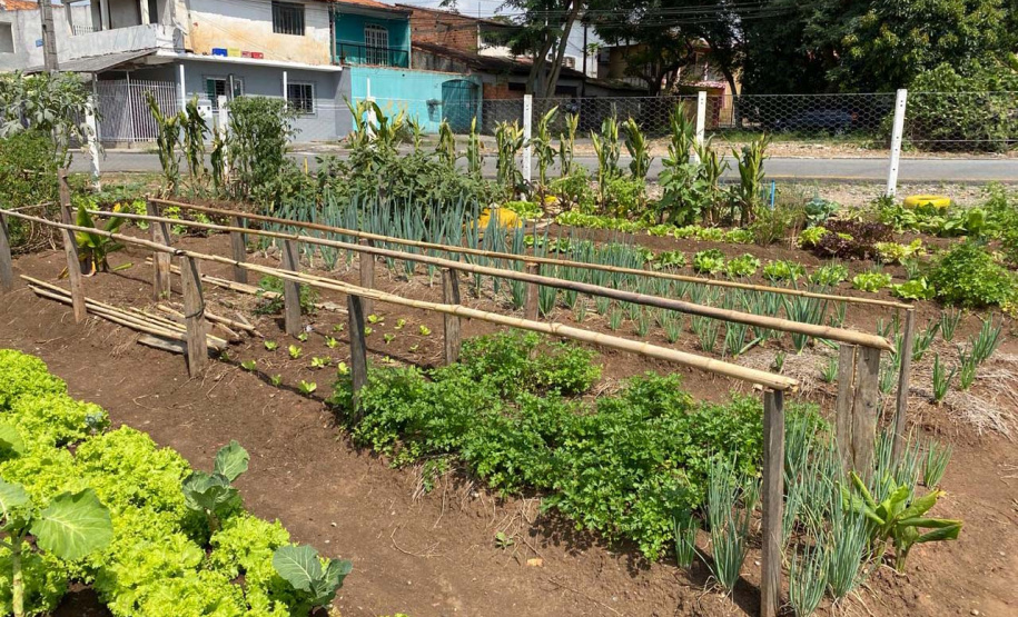 Copel apoia agricultura familiar durante a pandemia
. Foto: Copel