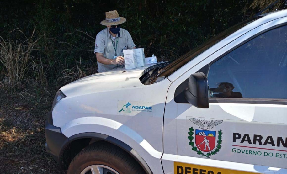 Defesa vegetal colabora para segurança alimentar na pandemia. Foto: Adaptar