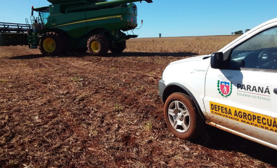 Defesa vegetal colabora para segurança alimentar na pandemia. Foto: Adaptar