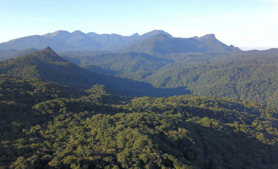 Estados discutem mudanças em processos do Ibama. Foto: José Fernando Ogura/AEN