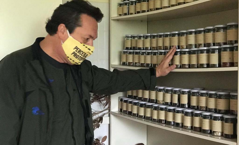 O Instituto Água e Terra, vinculado à Secretaria de Estado do Desenvolvimento Sustentável e do Turismo, distribui gratuitamente mudas de mais de 100 espécies nativas para todo o Estado. Entre elas estão araucária, jabuticaba, canela, peroba, imbuia e erva-mate, que formam parte da vegetação existente no Paraná. Apenas no ano passado foram cerca de 1,6 milhão de unidades.
Foto:IAT