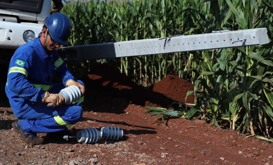 Paraná Trifásico abre espaço para agropecuária crescer mais