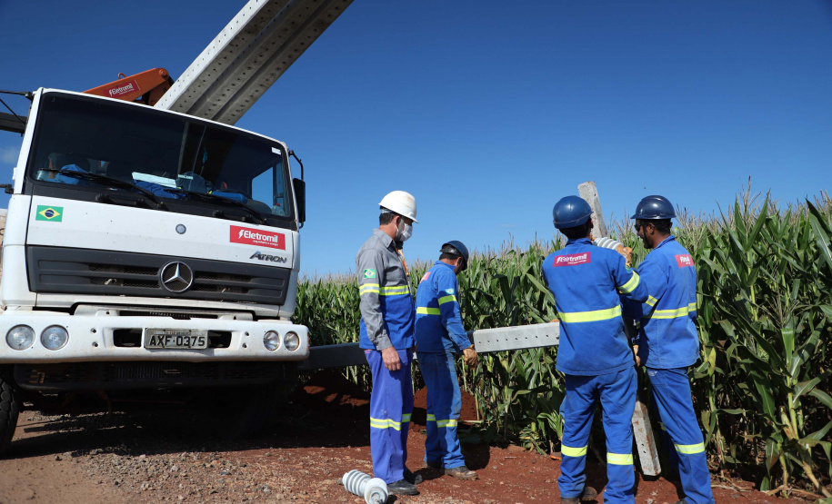 Paraná Trifásico abre espaço para agropecuária crescer mais