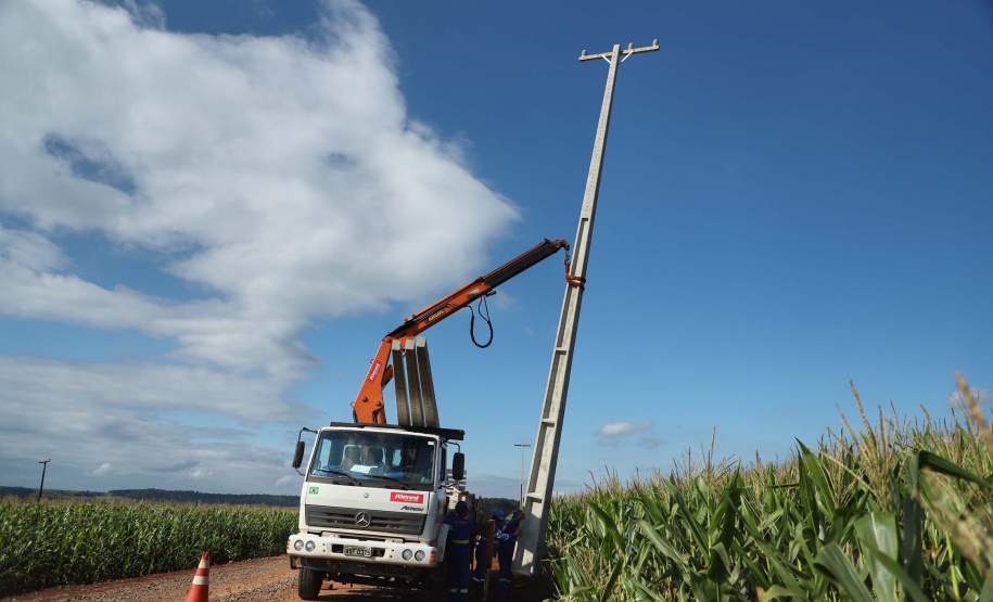 Paraná Trifásico abre espaço para agropecuária crescer mais