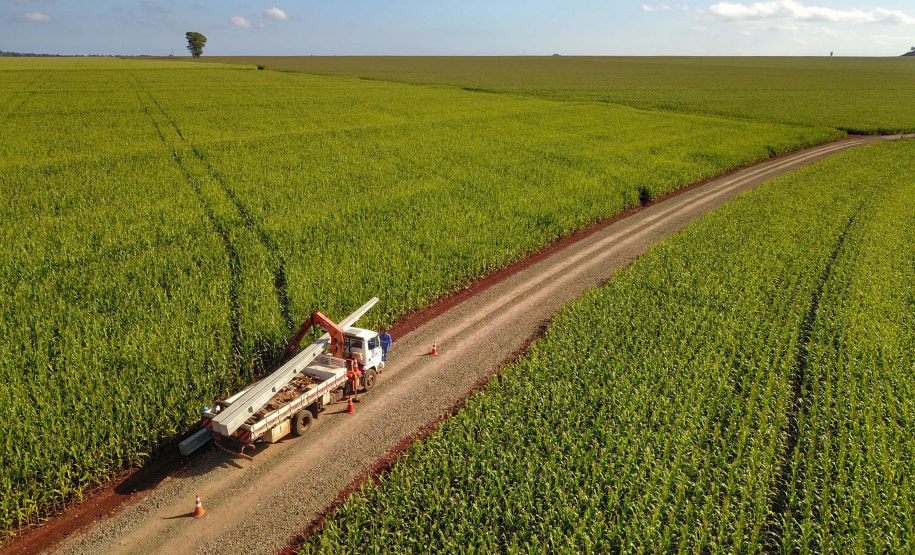 Paraná Trifásico abre espaço para agropecuária crescer mais