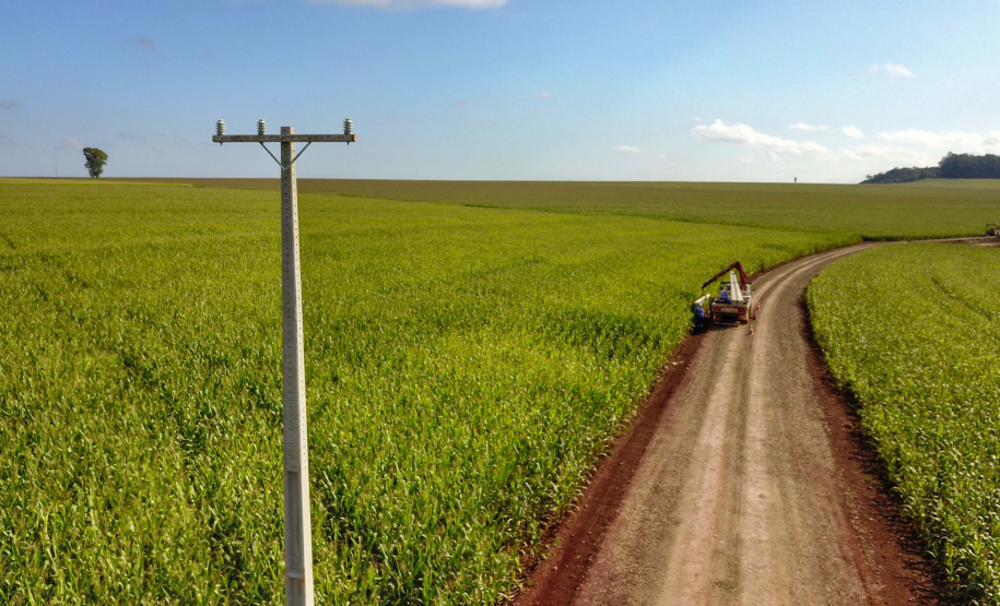 Paraná Trifásico abre espaço para agropecuária crescer mais