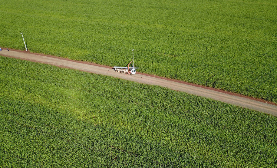 Paraná Trifásico abre espaço para agropecuária crescer mais
