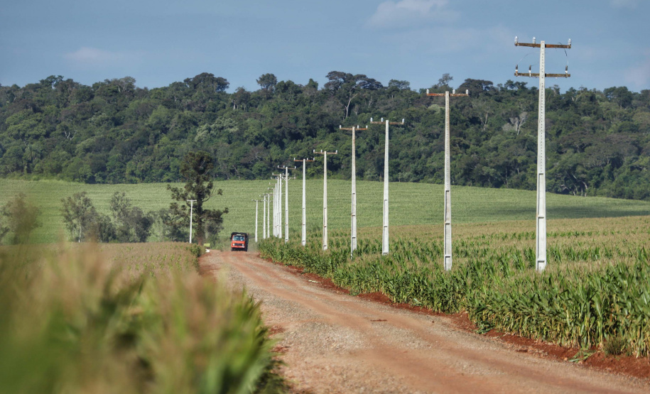Paraná Trifásico abre espaço para agropecuária crescer mais