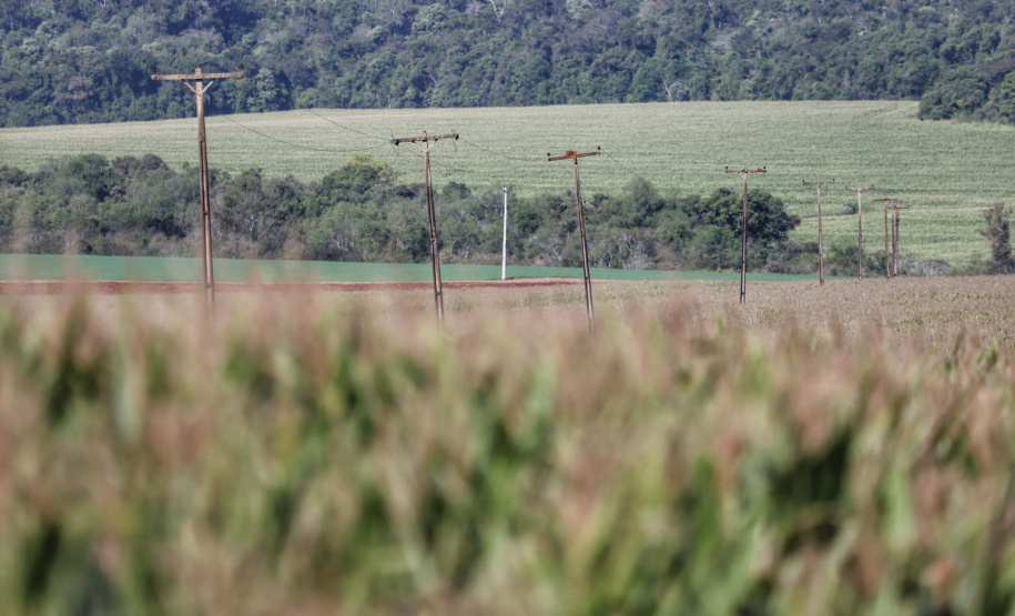 Paraná Trifásico abre espaço para agropecuária crescer mais
