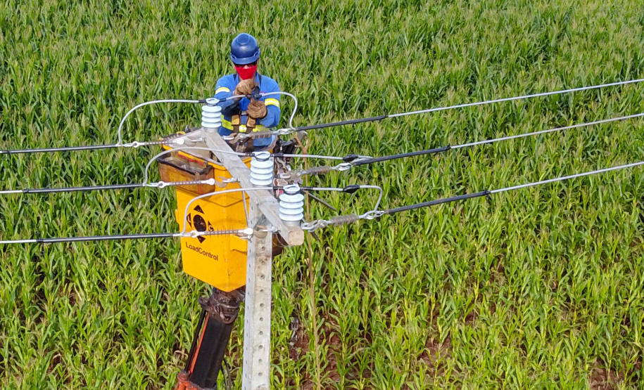 Paraná Trifásico abre espaço para agropecuária crescer mais