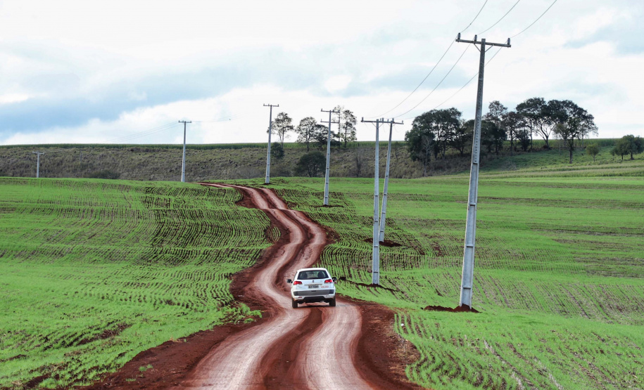 Paraná Trifásico abre espaço para agropecuária crescer mais