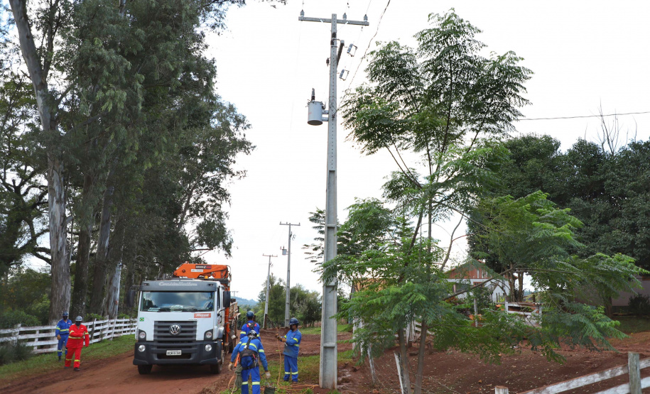 Paraná Trifásico abre espaço para agropecuária crescer mais