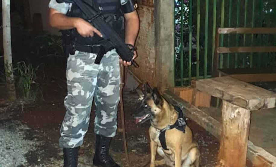 PM e GAECO deflagram terceira fase da Operação Sicário e prendem dois por envolvimento com tráfico e lavagem de dinheiro
. Foto:PMPR