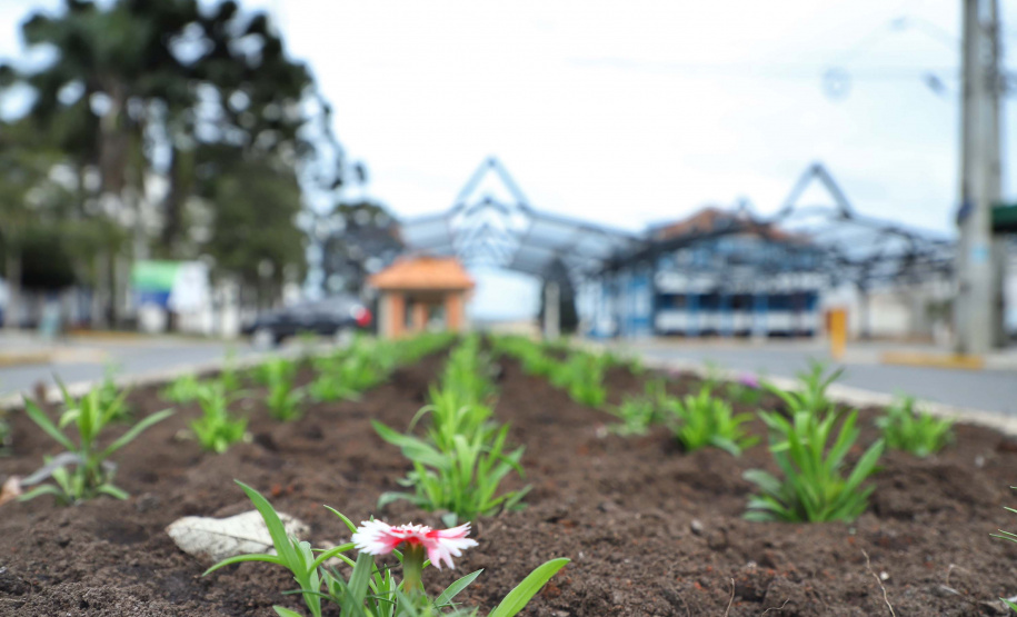 Rua do Mate valoriza a cultura e a produção de São Mateus do Sul.
