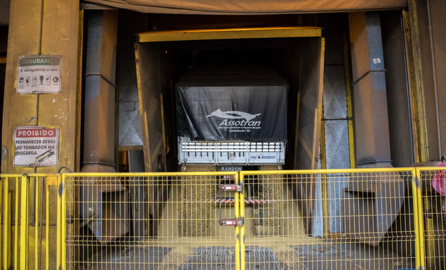 Exportação de grãos deve crescer 8,5% no 3.º trimestre.