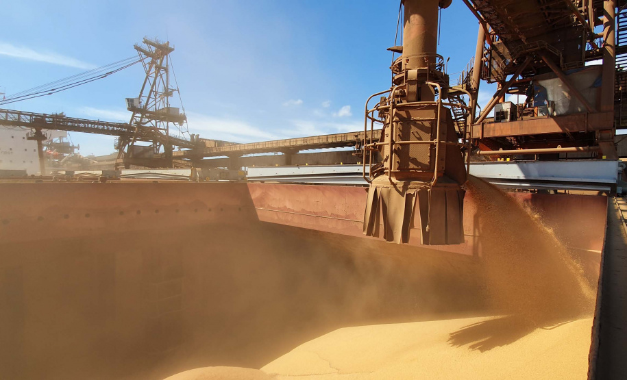 Exportação de grãos deve crescer 8,5% no 3.º trimestre.