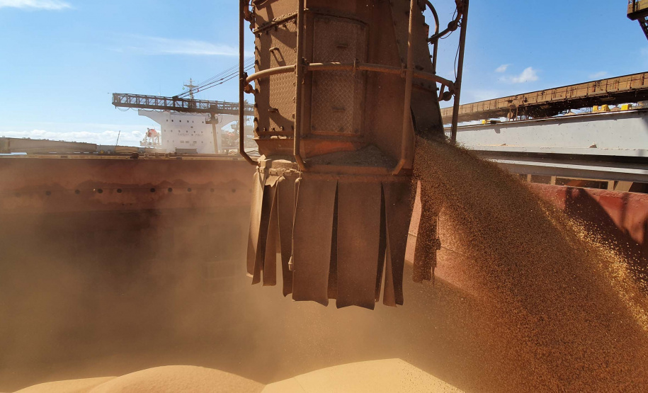 Exportação de grãos deve crescer 8,5% no 3.º trimestre.