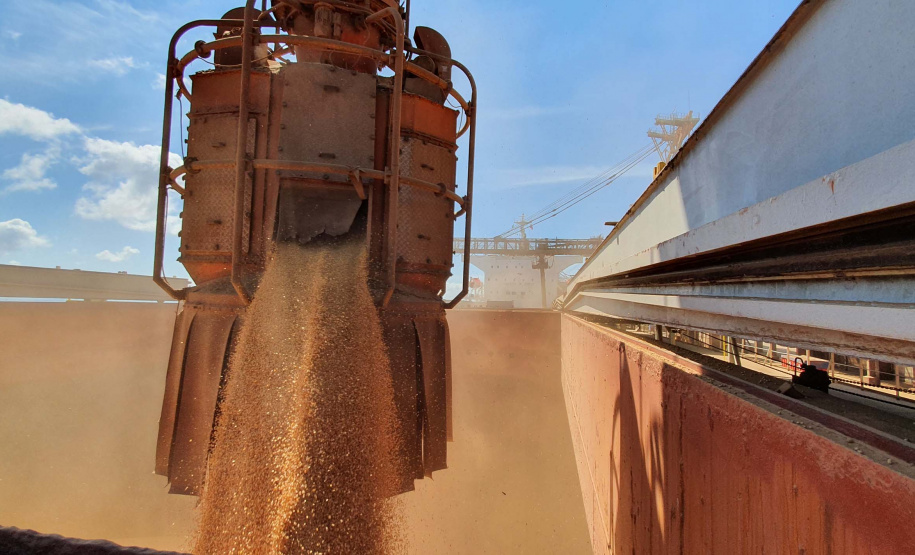 Exportação de grãos deve crescer 8,5% no 3.º trimestre.