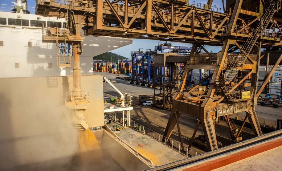 Exportação de grãos deve crescer 8,5% no 3.º trimestre.