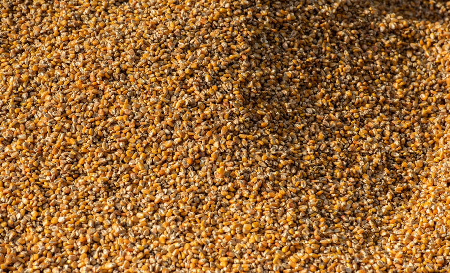 Exportação de grãos deve crescer 8,5% no 3.º trimestre.