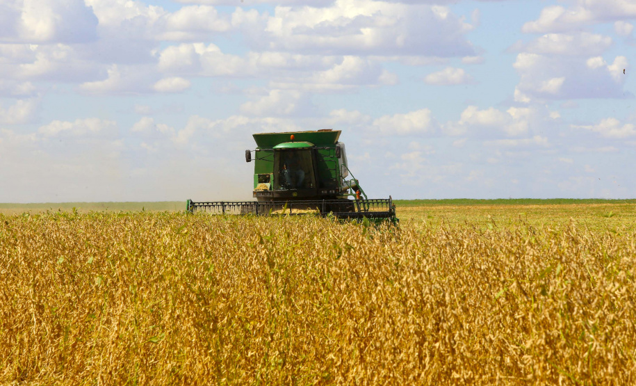 Paraná pode colher 40,9 milhões de toneladas de grãos. Foto: Jaelson Lucas/AEN
