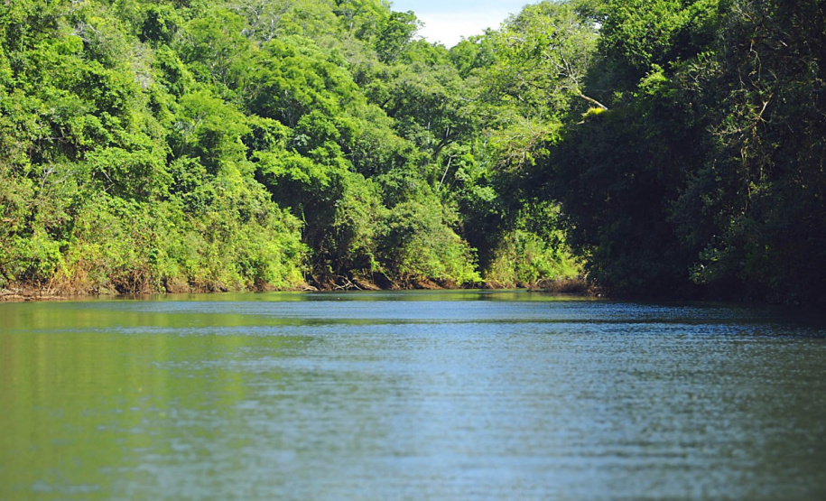 Foto: Denis Ferreira Netto / Sedest