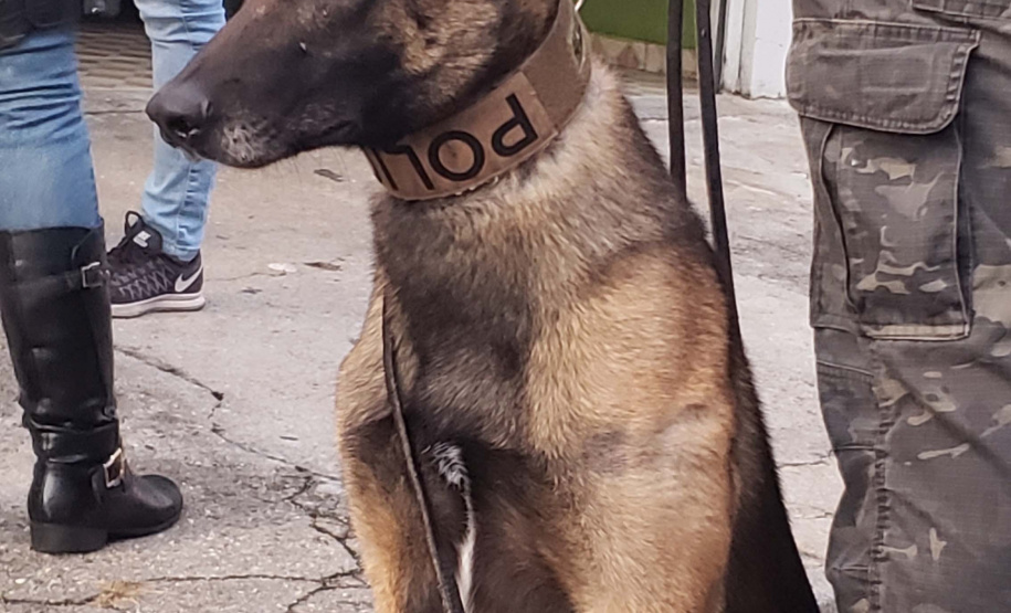 PCPR prende envolvidos com tráfico de drogas e homicídios no Parolin
. Foto:PCPR