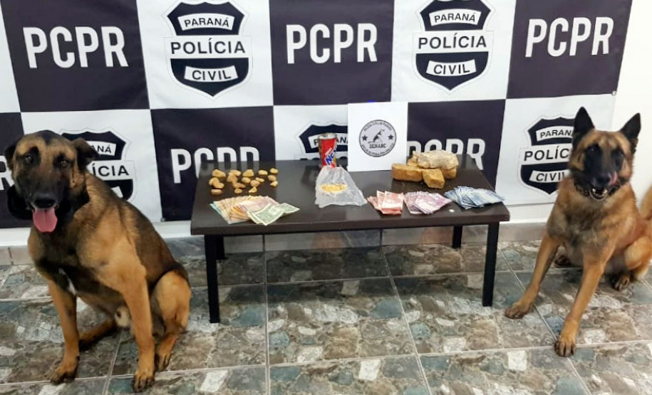 Cães da PCPR apreendem mais drogas em 2020 do que soma dos dois anos anteriores
Foto: PCPR