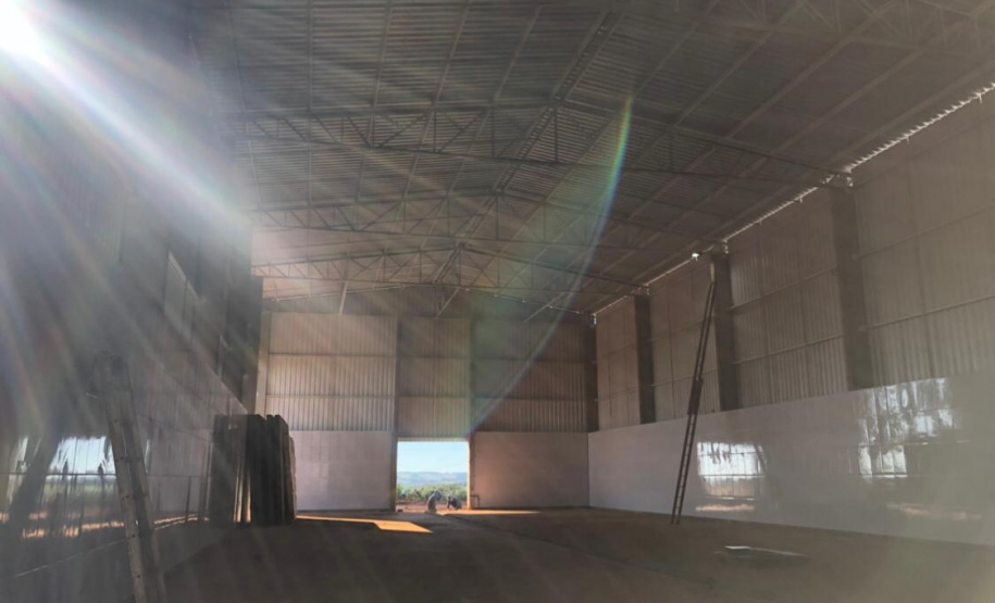 Fruticultura ganha força com apoio do Governo do Estado. Plantação de laranjas.Foto:SEAB