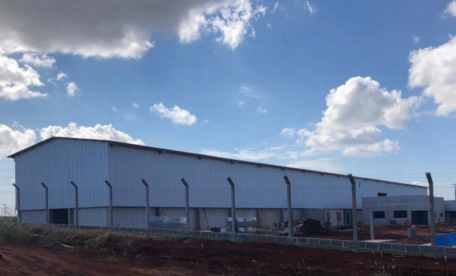 Fruticultura ganha força com apoio do Governo do Estado. Plantação de laranjas.Foto:SEAB