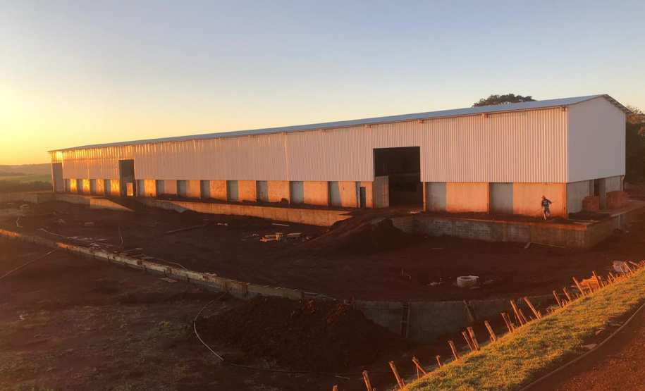 Fruticultura ganha força com apoio do Governo do Estado. Plantação de laranjas.Foto:SEAB