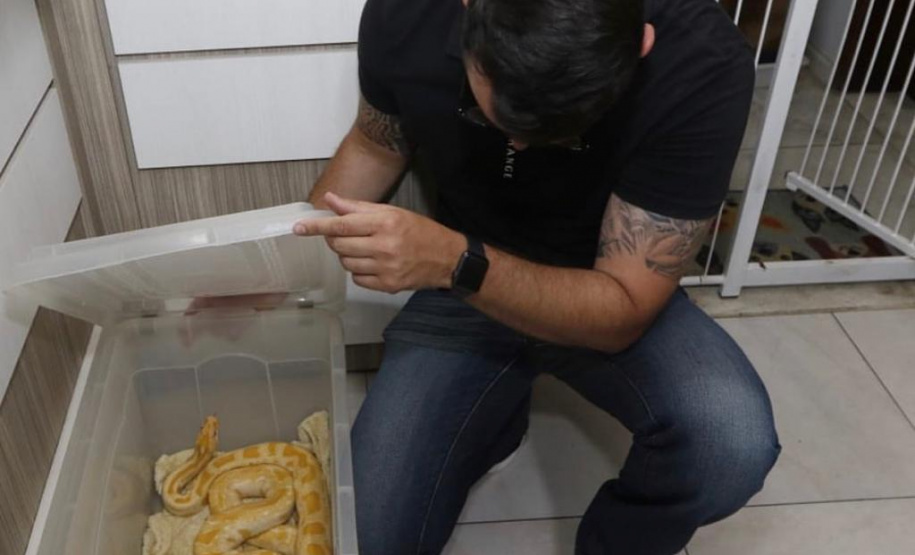 PCPR resgata cerca de 400 animais no primeiro semestre de 2020
. Foto:PCPR