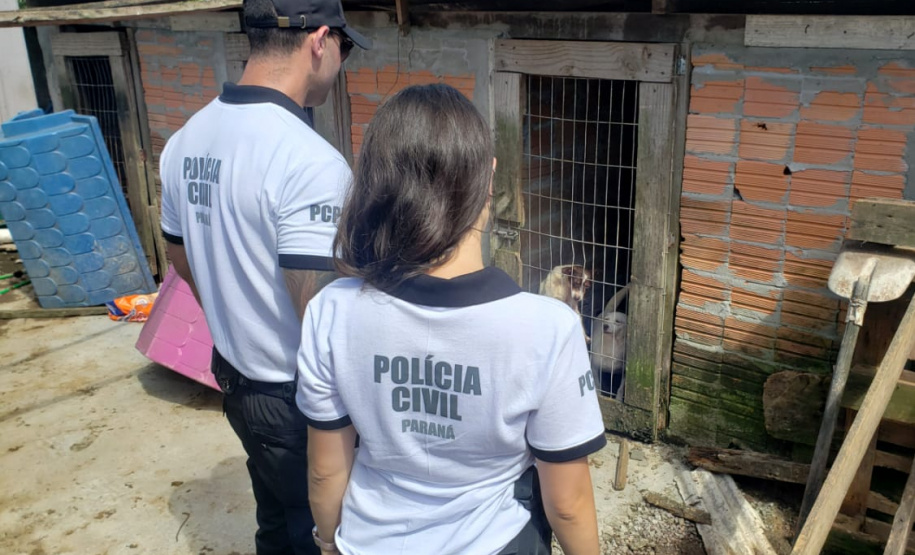 PCPR resgata cerca de 400 animais no primeiro semestre de 2020
. Foto:PCPR