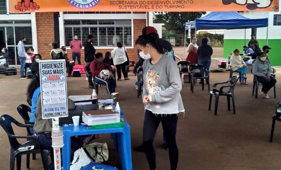 15 mil animais serão castrados até o fim do ano. Foto: SEDEST