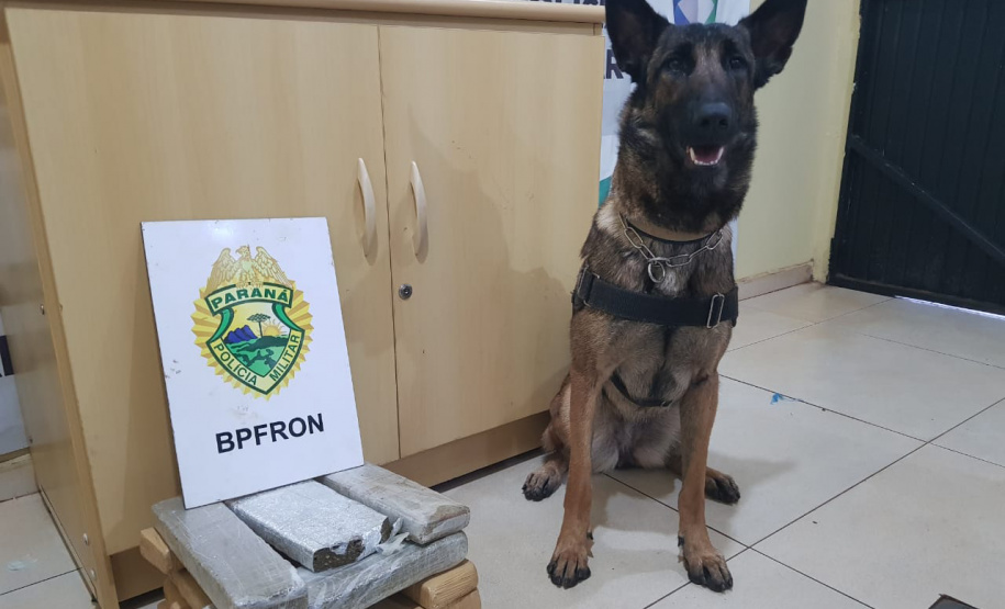 A Operação Metrópolis, ação conjunta entre as forças de segurança da região Oeste, resultou em 281 prisões e 61 mandados de Prisão cumpridos, além de 3,9 toneladas de drogas e 25 armas de fogo retiradas de circulação, entre os dias 26 de junho até esta segunda-feira (06/07). Foto:SESP