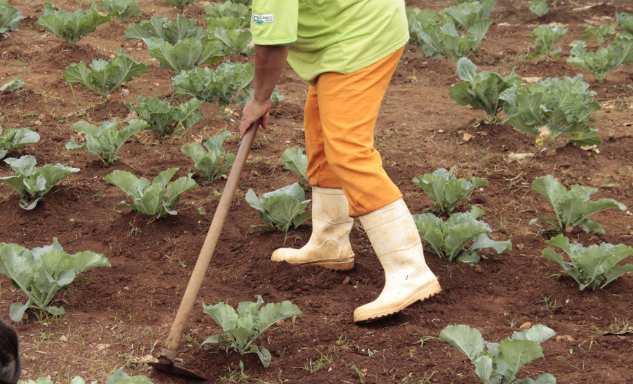 SESP recebe Selo Nacional de Responsabilidade Social pelo Trabalho no Sistema Prisional
. Foto:SESP