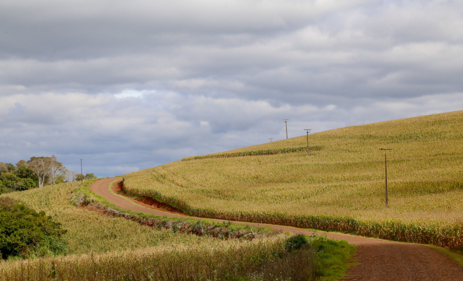 CHOPINZINHO - Estrada Rural.