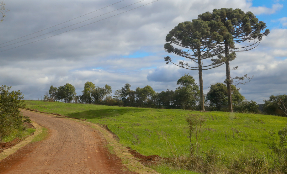 CHOPINZINHO - Estrada Rural.