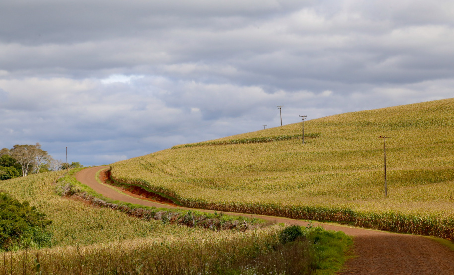 CHOPINZINHO - Estrada Rural.