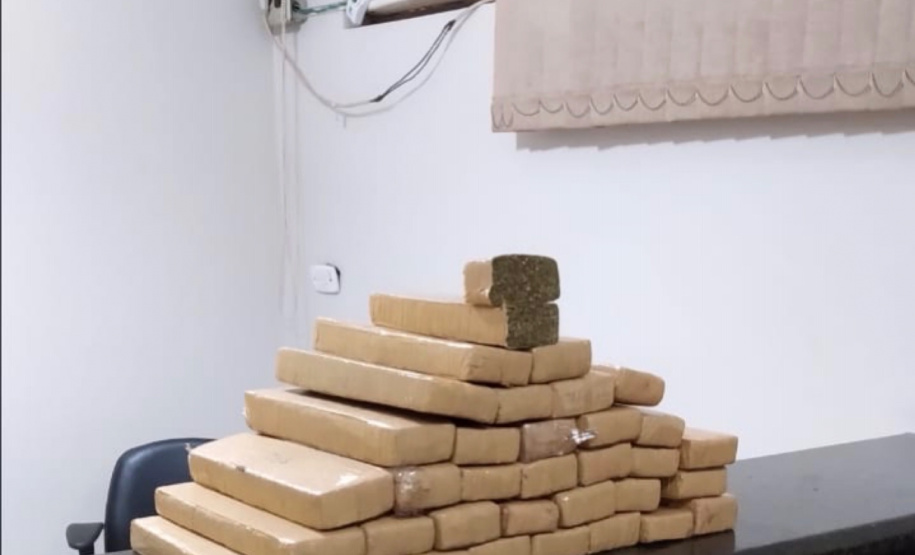 Com ajuda de cães, PM apreende mais de 38 toneladas de maconha
. Foto:SESP