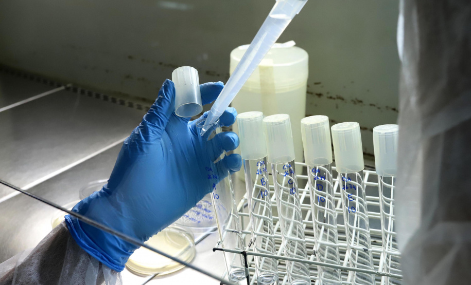 Tecpar abre edital para transferência de tecnologia de medicamentos canabinoides..Foto: Arnaldo Alves / ANPr.