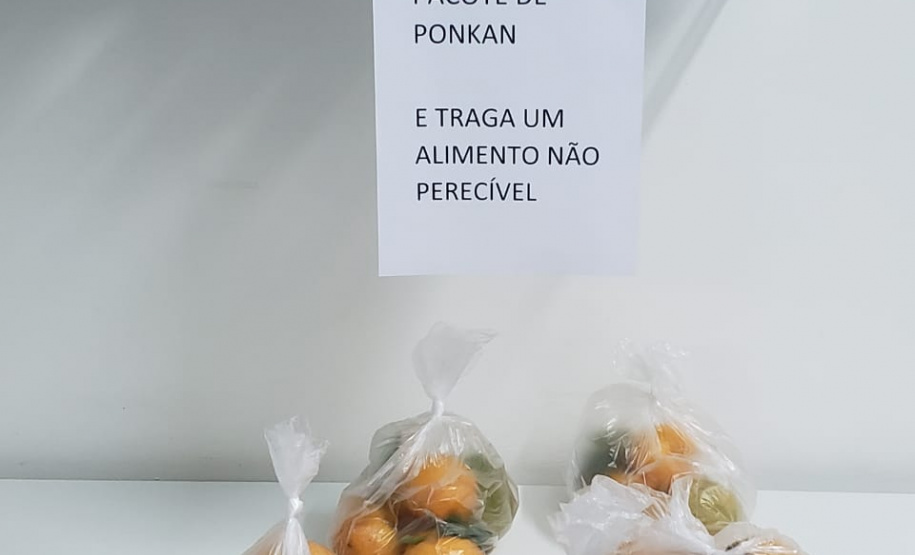 Empregados da Sanepar em União da Vitória encontraram um jeito de continuar sendo solidários mesmo durante a pandemia