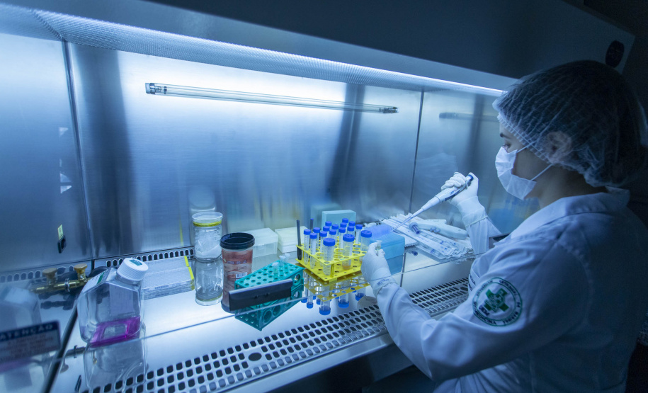 Pesquisadores da Universidade Estadual de Maringá (UEM) darão início, até o final de julho, a duas importantes pesquisas sobre o novo coronavírus. De acordo com a professora e pesquisadora Márcia Consolaro, do Departamento de Análises Clínicas e Biomedicina (DAB) da UEM, e coordenadora local dos dois estudos, o objetivo é compreender a interação do vírus com o organismo e seu comportamento na sociedade, assim como as taxas de transmissibilidade.  FOTO:UEM